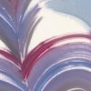 zoom plumes des caraibes