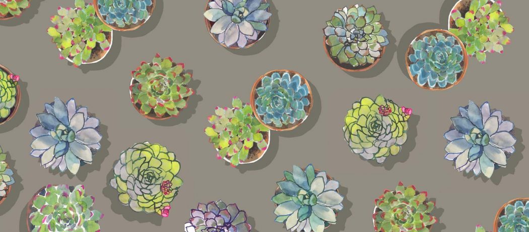 visuel têtes de lit Les Succulentes 70