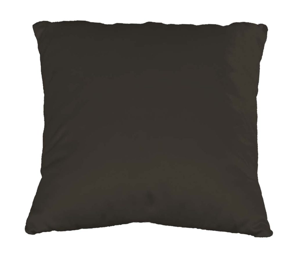Coussin Plumes verso